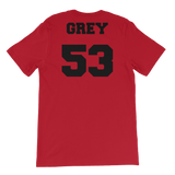 Paisley Grey Jersey